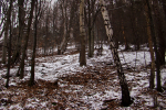 Roháčka z Margecian (Čierna hora)