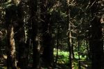 sedlo Sedielko z Tatranskej Javoriny (Vysoké Tatry)