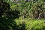 sedlo Sedielko z Tatranskej Javoriny (Vysoké Tatry)