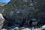 sedlo Sedielko z Tatranskej Javoriny (Vysoké Tatry)
