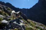 sedlo Sedielko z Tatranskej Javoriny (Vysoké Tatry)