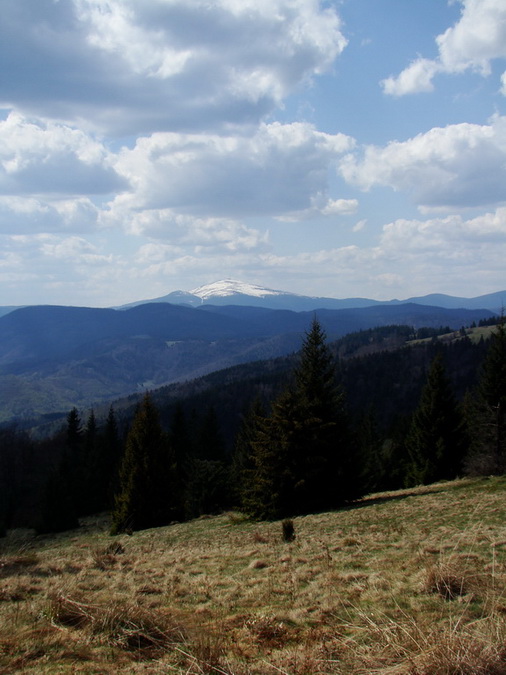 Babiná (Volovské vrchy)