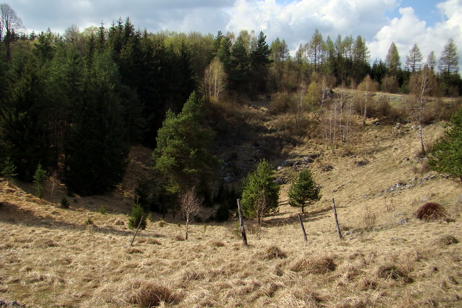 Gerlašská skala (Slovenský kras)