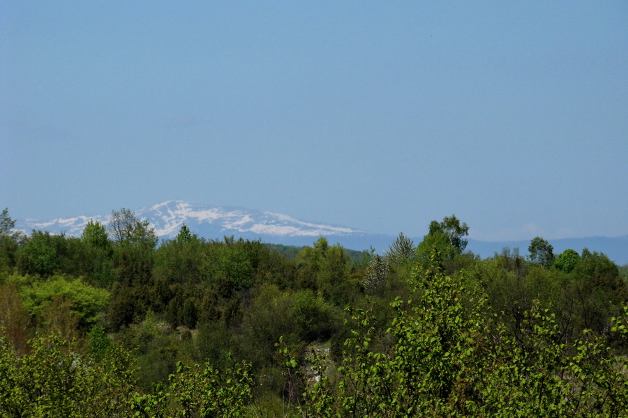 Silická planina (Slovenský kras)