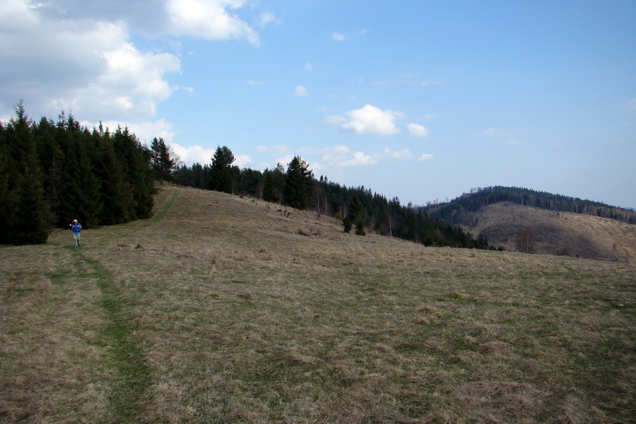 Bukovec zo Švedlára (Volovské vrchy)