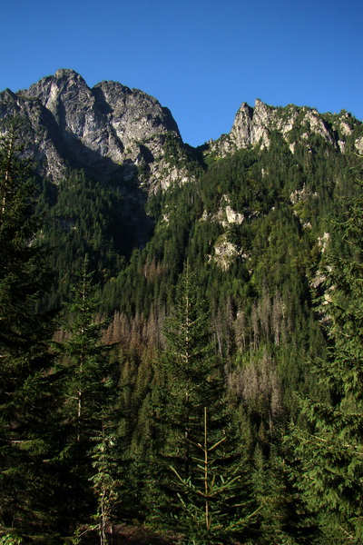 Bielovodskou dolinou na Východnú Vysokú (Vysoké Tatry)