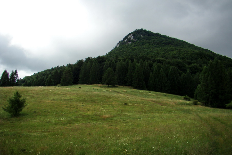 Havrania hlava z Gelnice (Volovské vrchy)