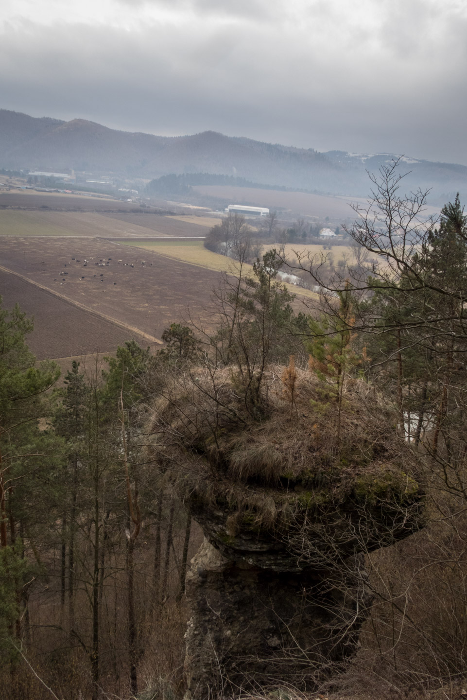 Markušovský skalný hríb a Šikľavá skala (Volovské vrchy)