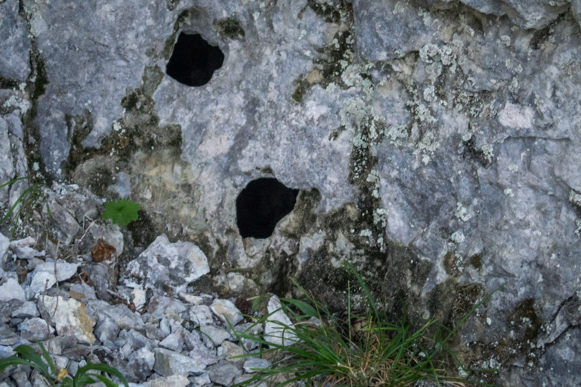 Poludnica z Iľanova cez sedlo pod Kúpeľom (Nízke Tatry)