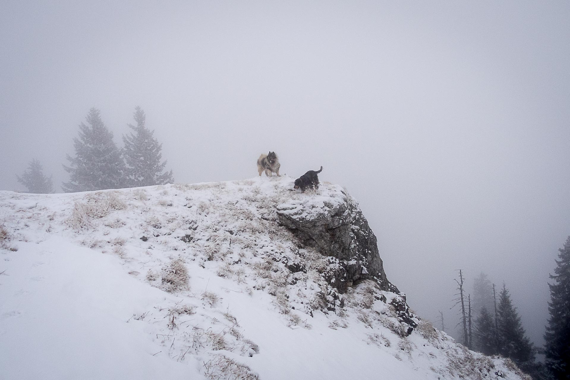 Poludnica zo Závažnej Poruby v zime (Nízke Tatry)