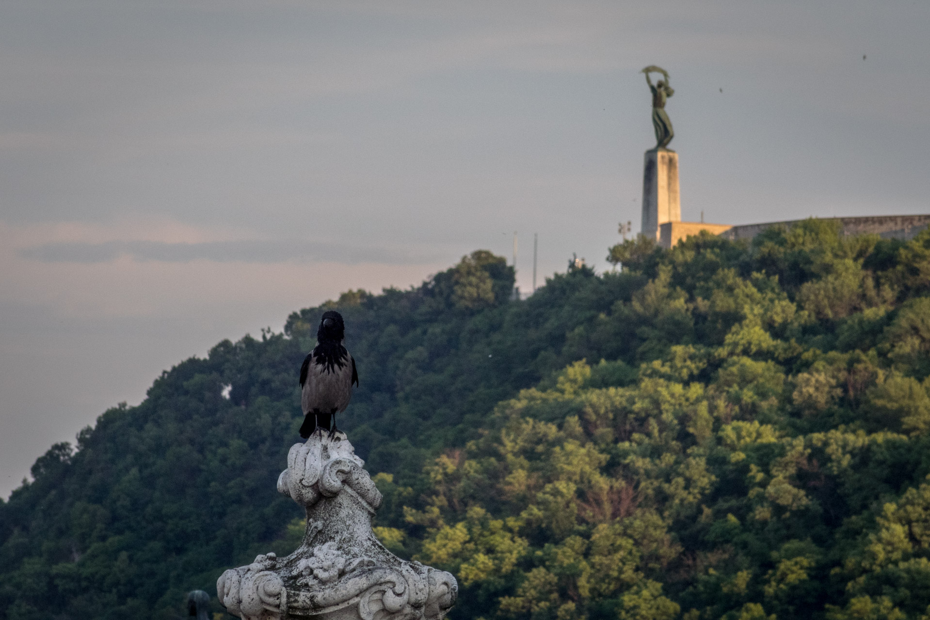 Depeche Mode, Budapešť, 22. 05. 2017