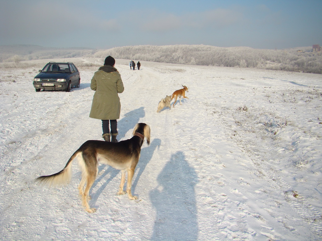 Bankov 25.12.2007