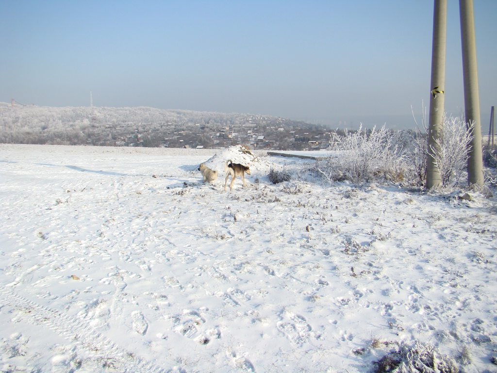 Bankov 25.12.2007