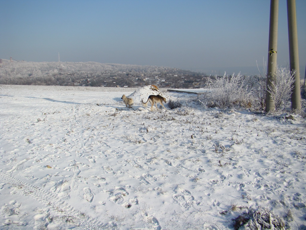 Bankov 25.12.2007