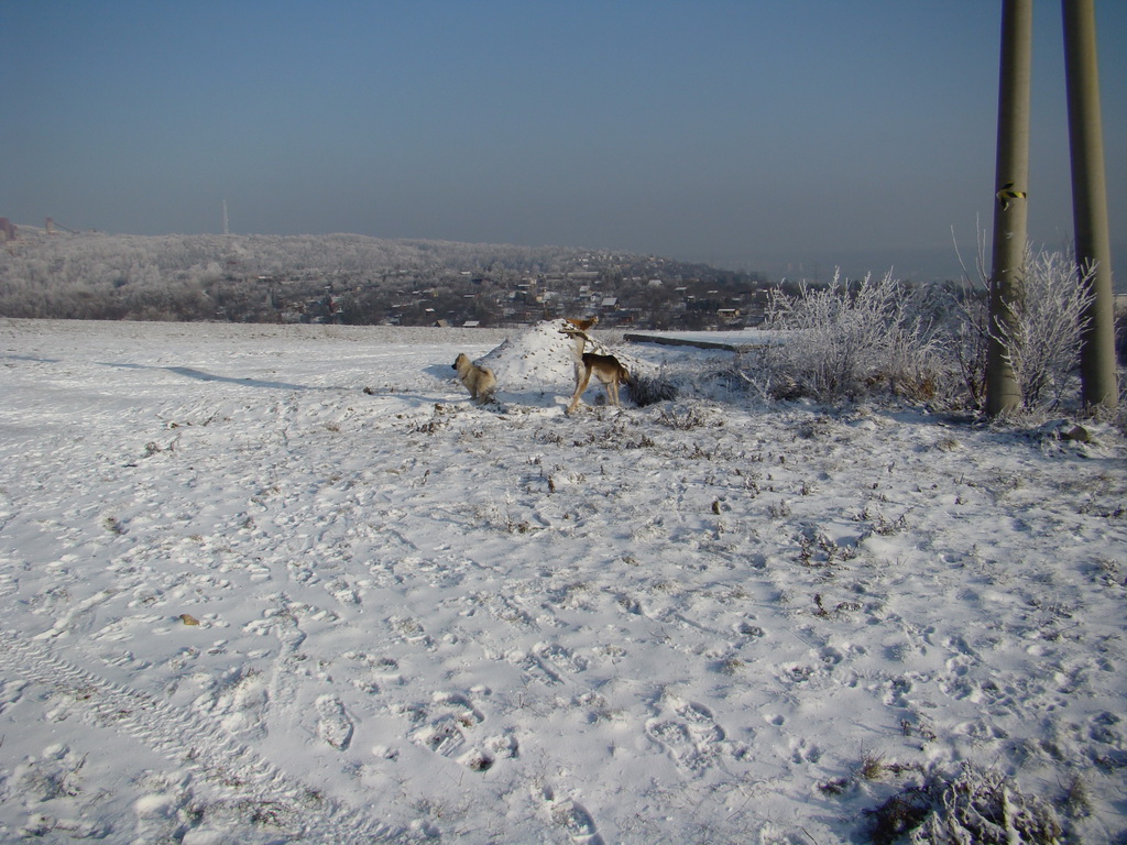 Bankov 25.12.2007