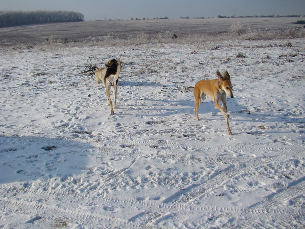 Bankov 25.12.2007