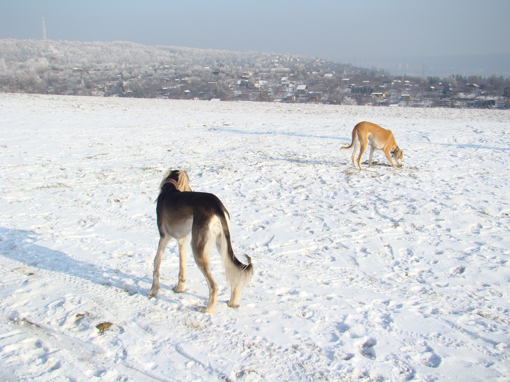 Bankov 25.12.2007