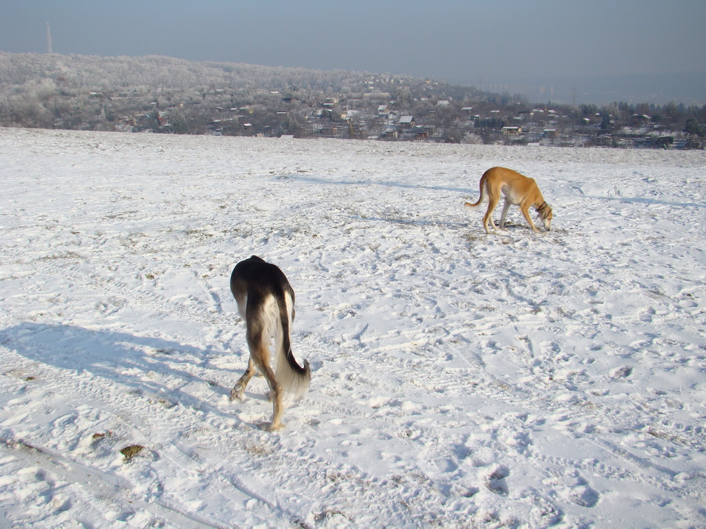 Bankov 25.12.2007