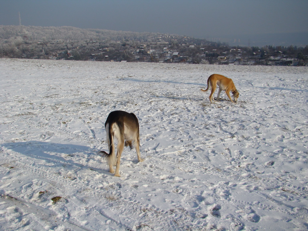 Bankov 25.12.2007