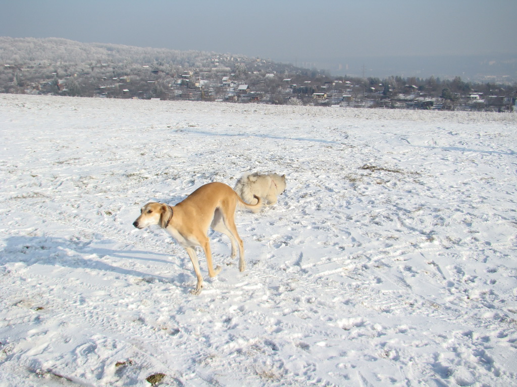 Bankov 25.12.2007