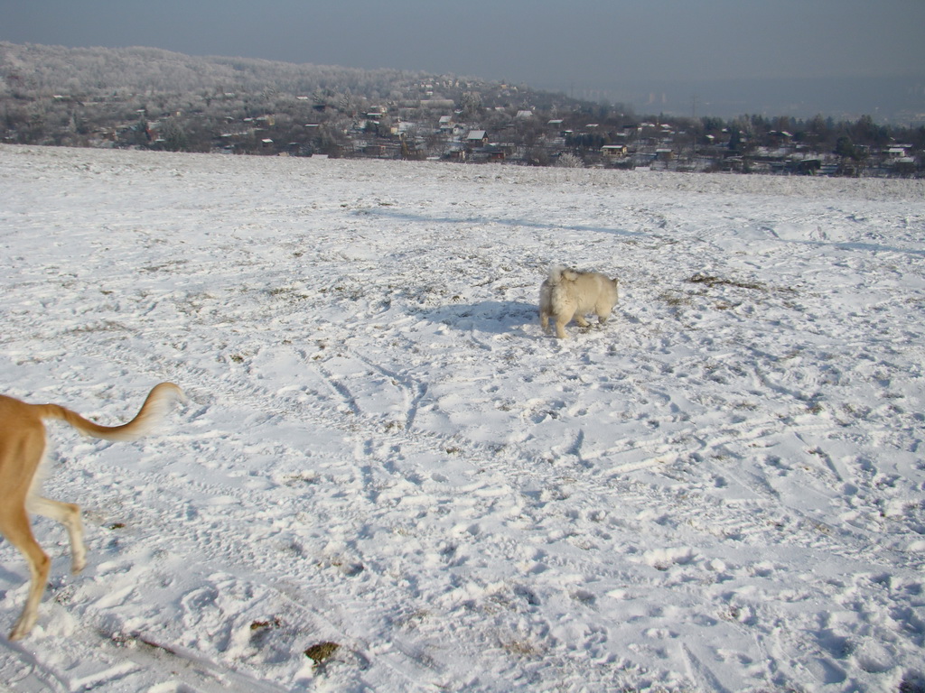 Bankov 25.12.2007