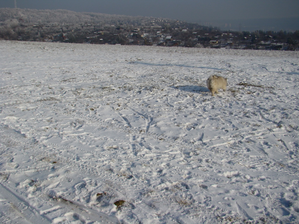 Bankov 25.12.2007