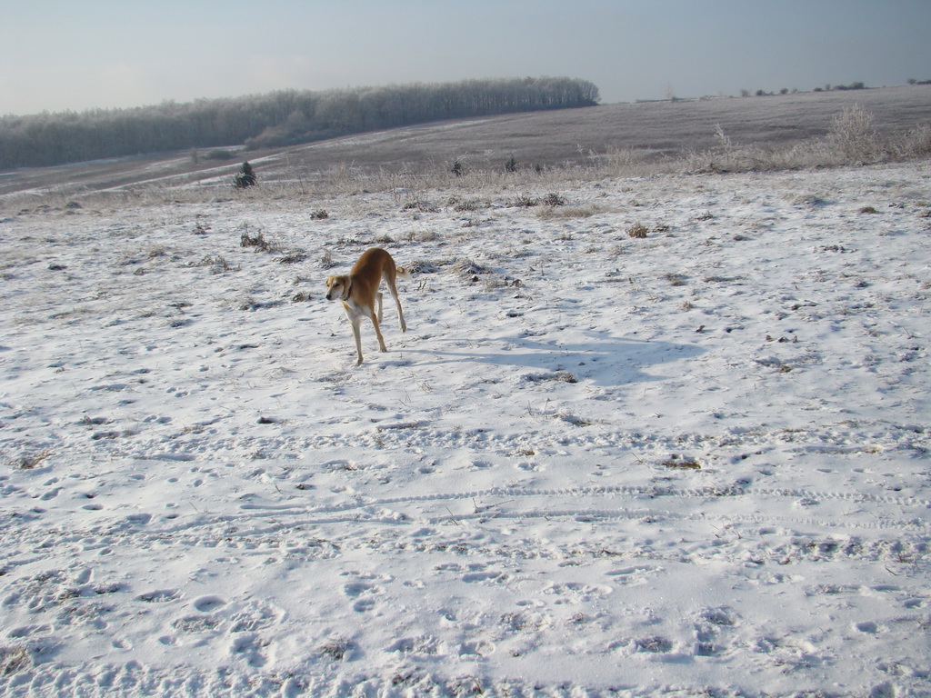 Bankov 25.12.2007