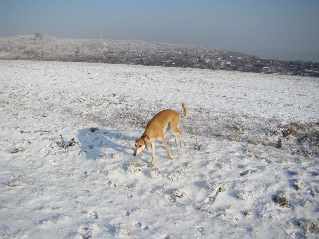 Bankov 25.12.2007