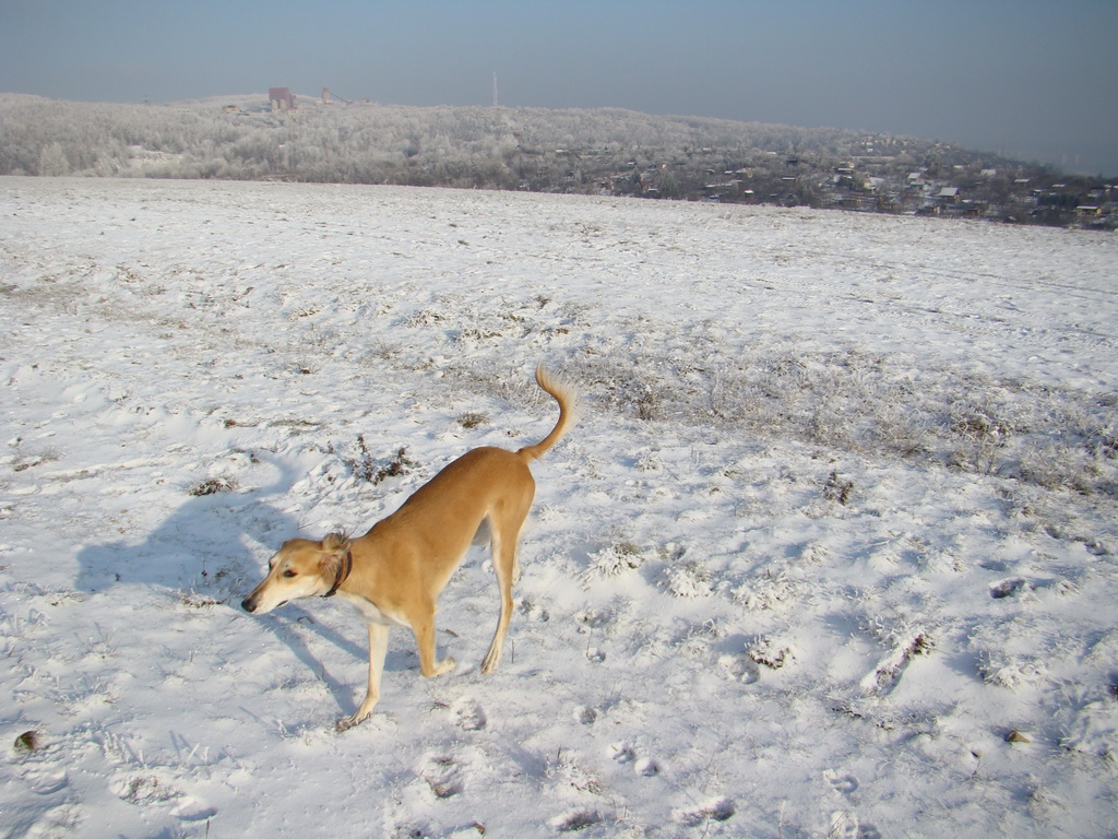 Bankov 25.12.2007