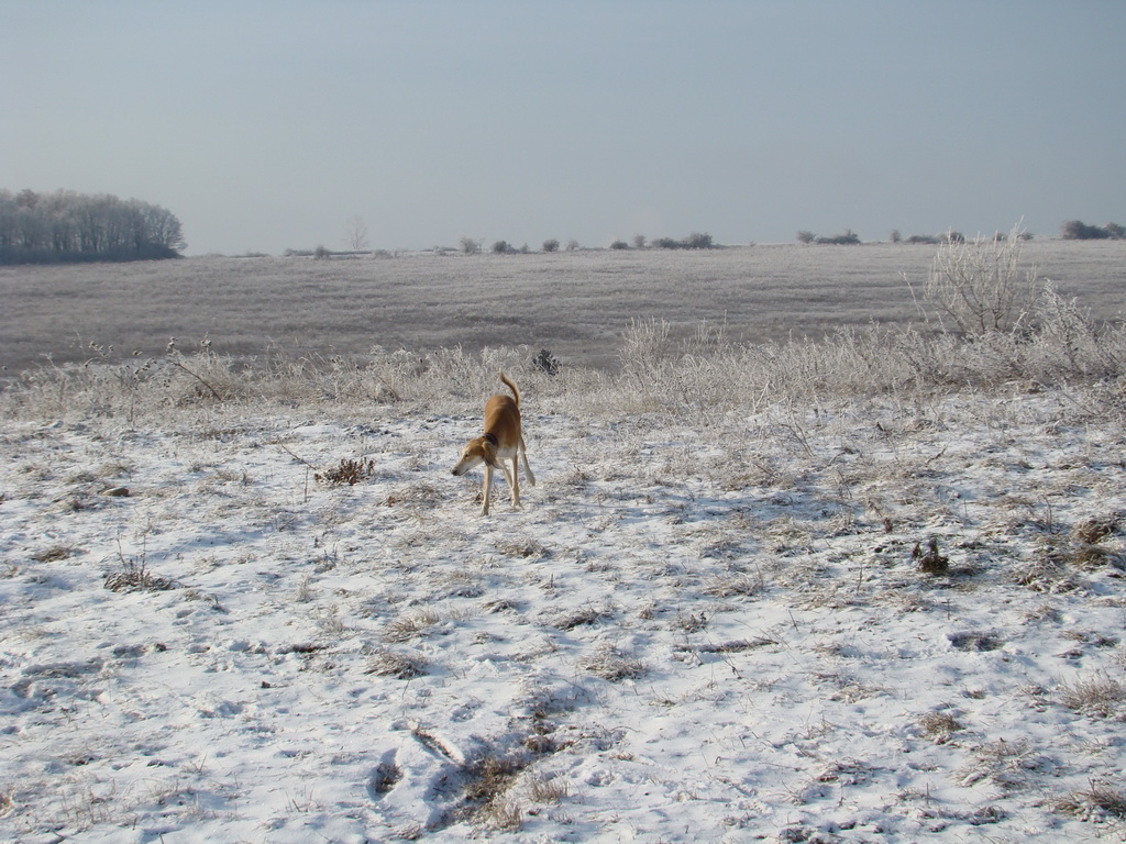 Bankov 25.12.2007