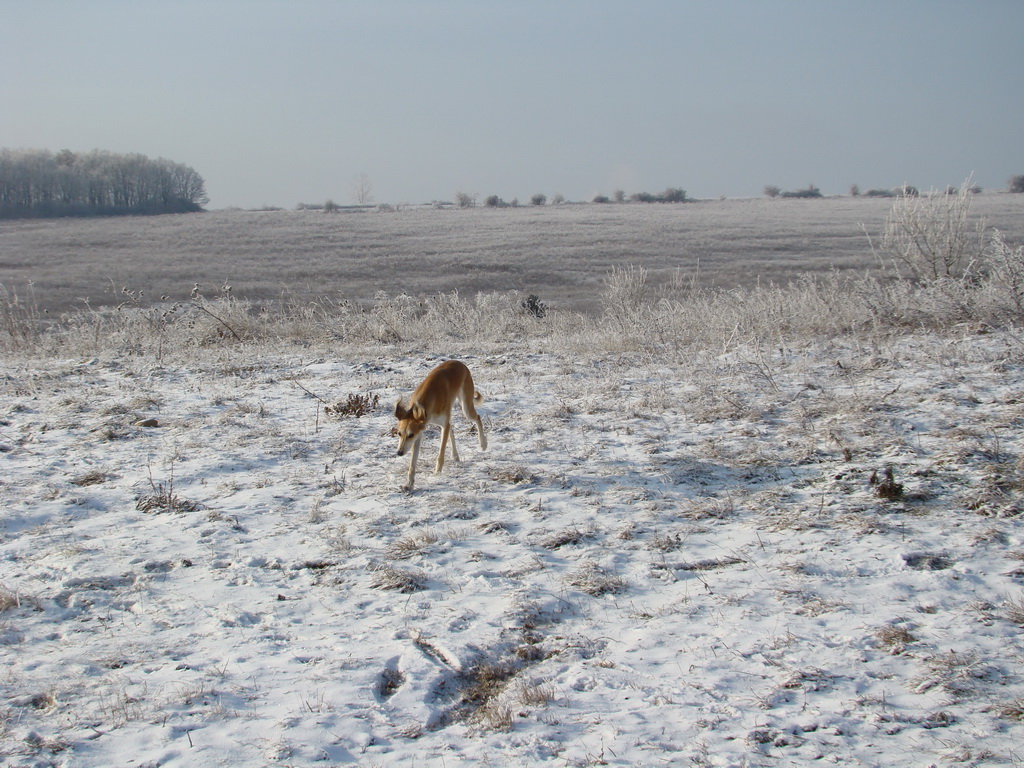 Bankov 25.12.2007