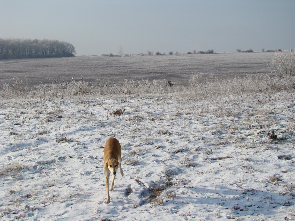 Bankov 25.12.2007