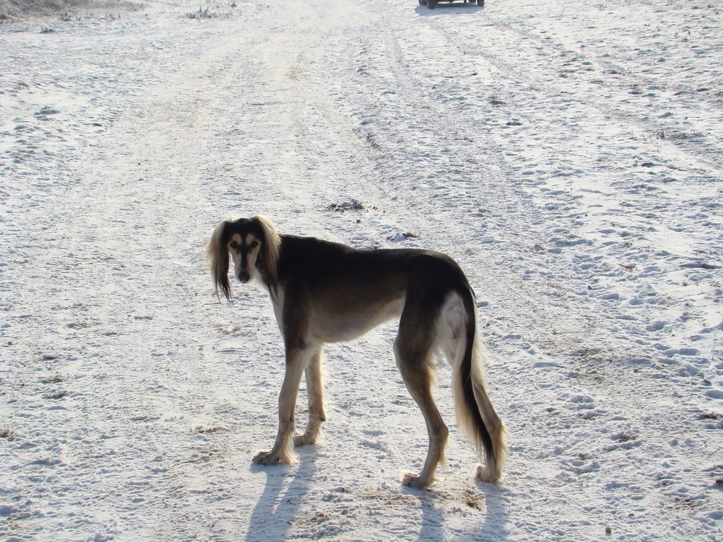 Bankov 25.12.2007