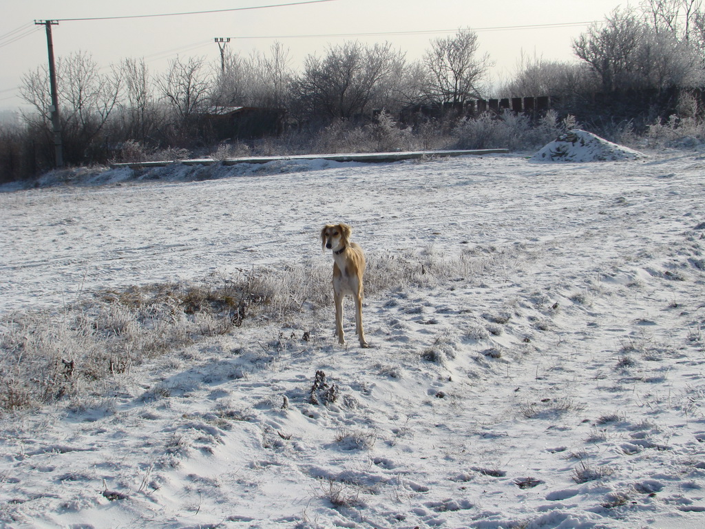 Bankov 25.12.2007