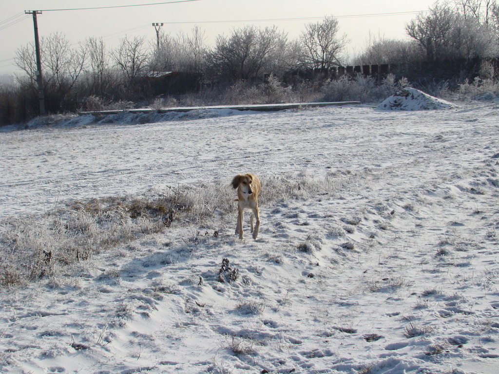 Bankov 25.12.2007