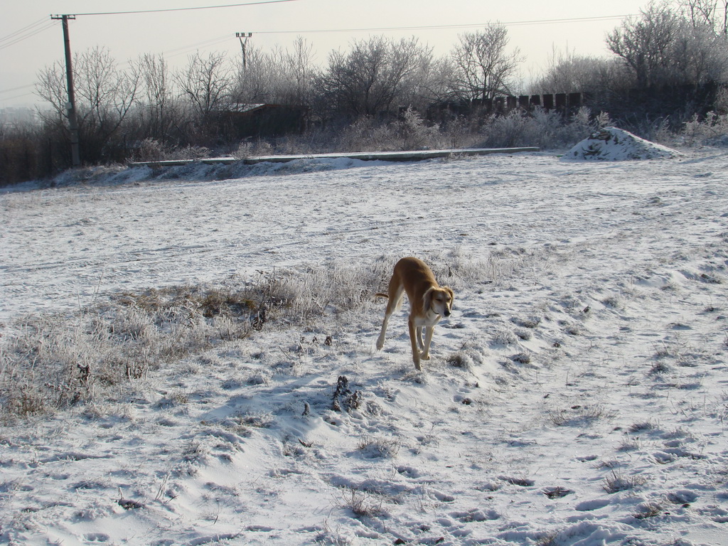 Bankov 25.12.2007