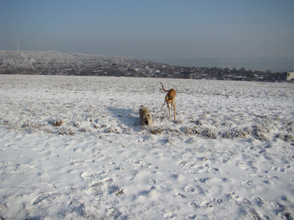 Bankov 25.12.2007