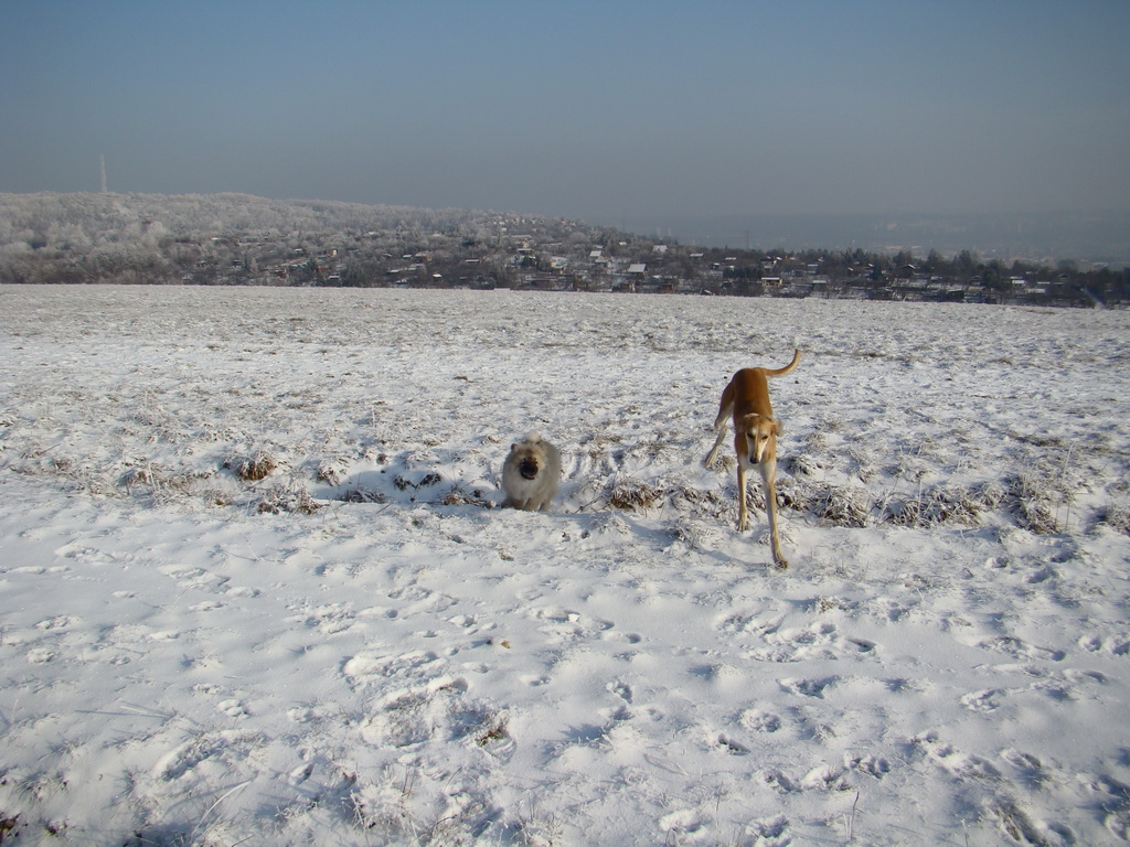 Bankov 25.12.2007