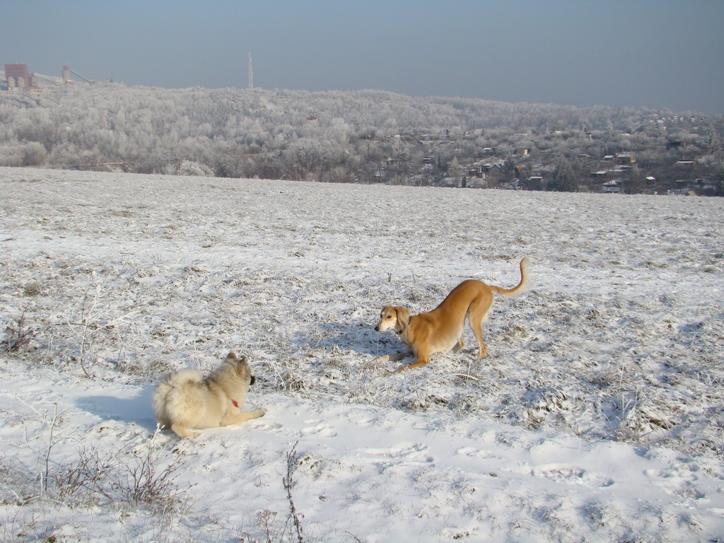 Bankov 25.12.2007