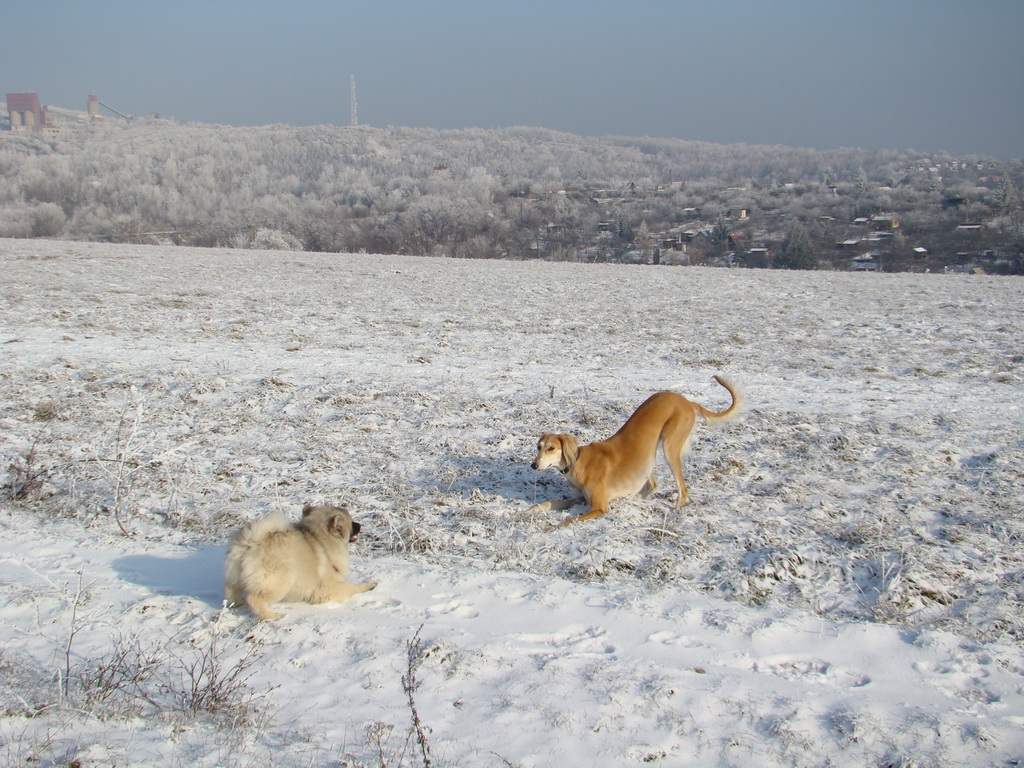 Bankov 25.12.2007