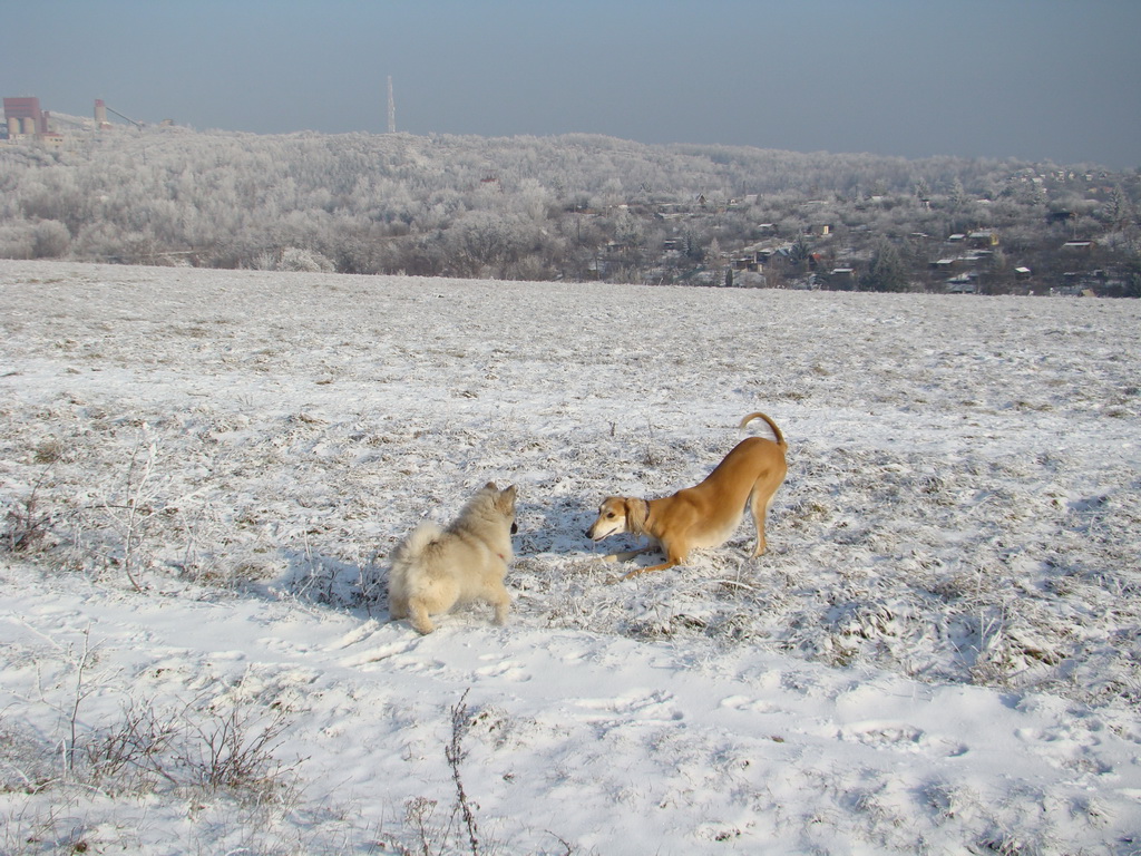 Bankov 25.12.2007