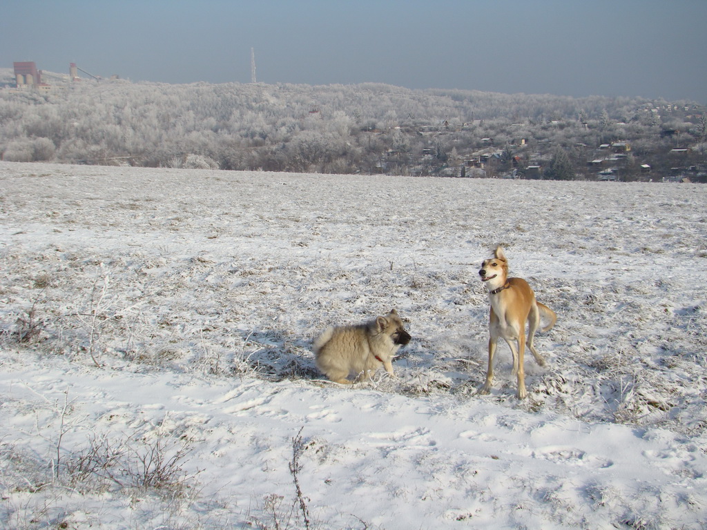 Bankov 25.12.2007