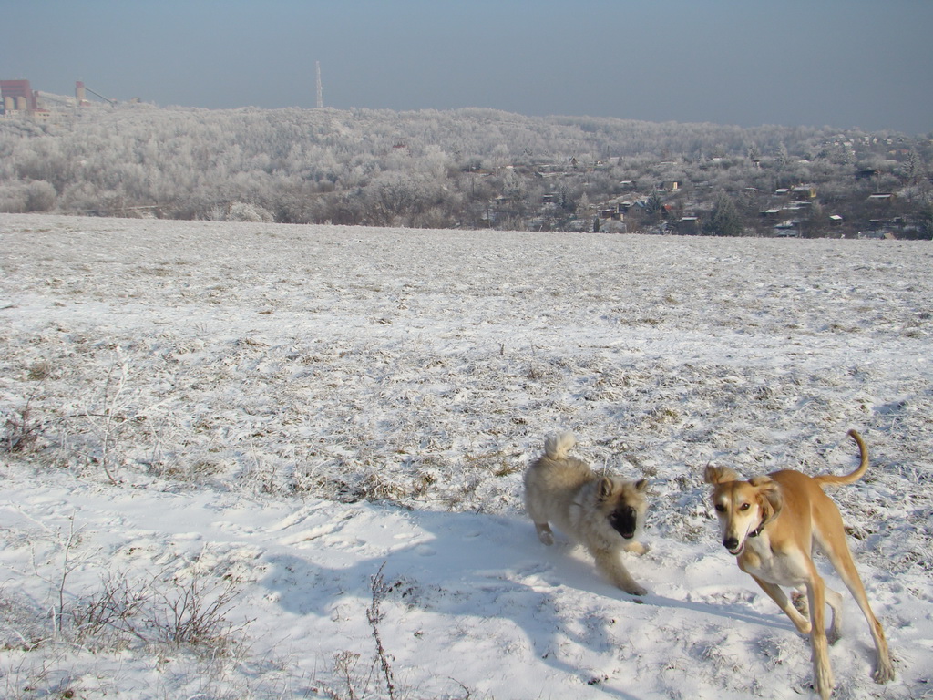 Bankov 25.12.2007