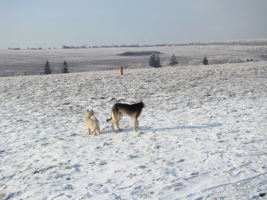 Bankov 25.12.2007