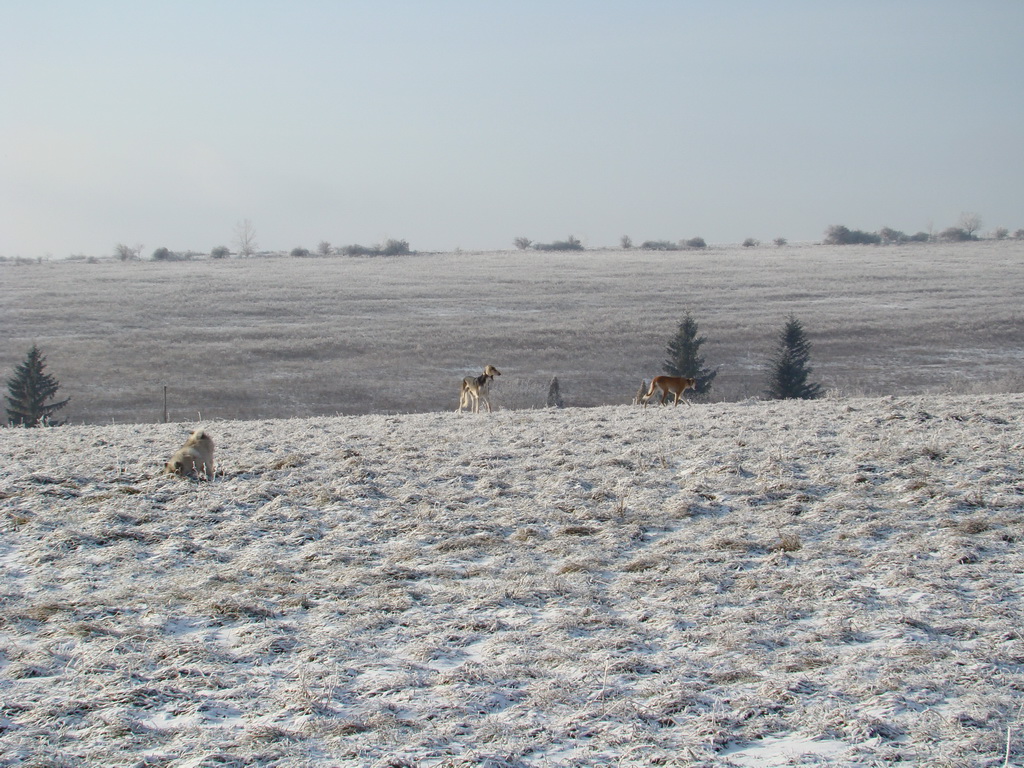 Bankov 25.12.2007