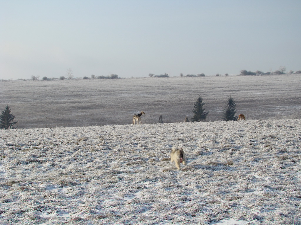 Bankov 25.12.2007