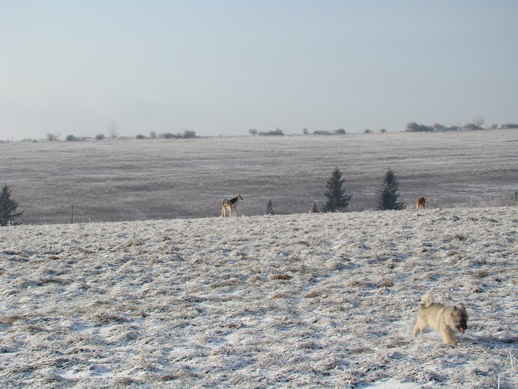 Bankov 25.12.2007