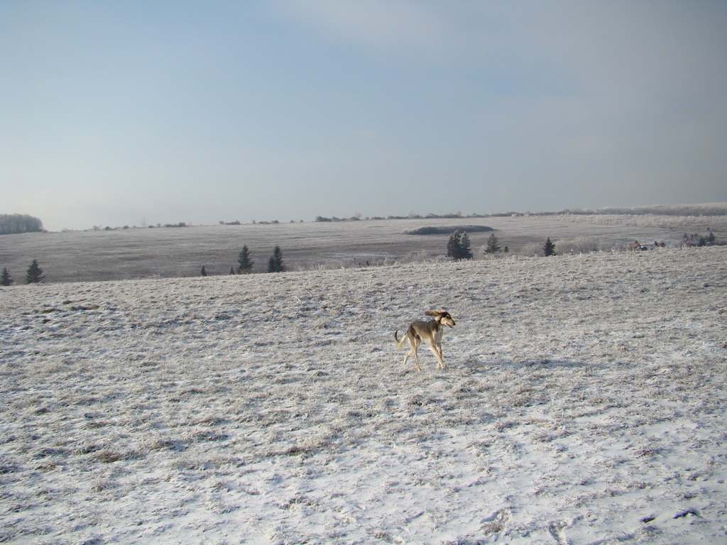 Bankov 25.12.2007