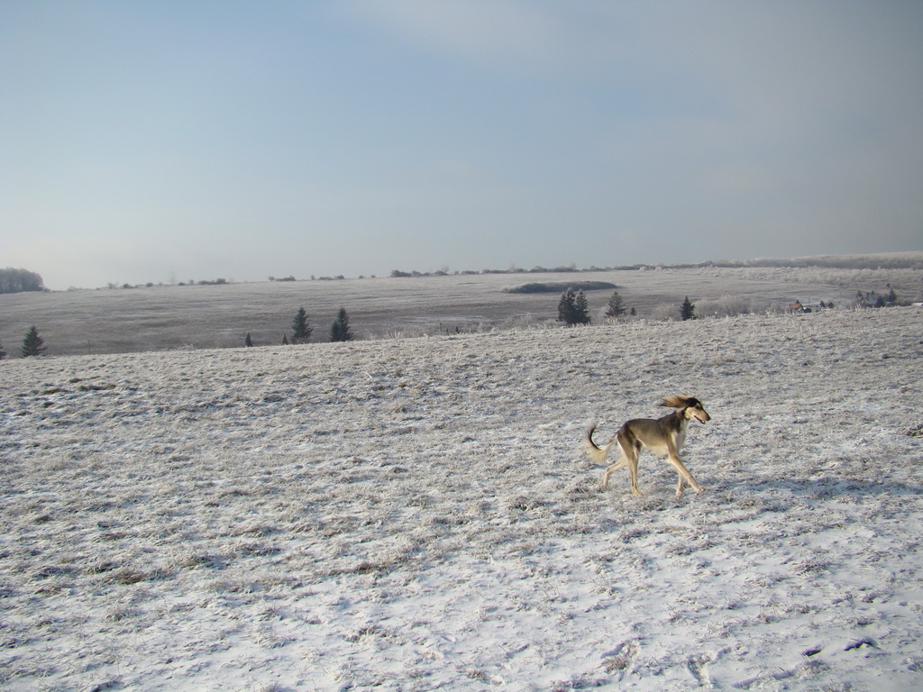 Bankov 25.12.2007