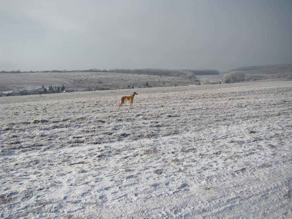 Bankov 25.12.2007